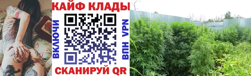 Купить наркотик аптеки Пучеж Конопля  Галлюциногенные грибы  ГАШИШ  МЕФ  КОКАИН 