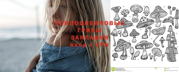 apvp Алексеевка