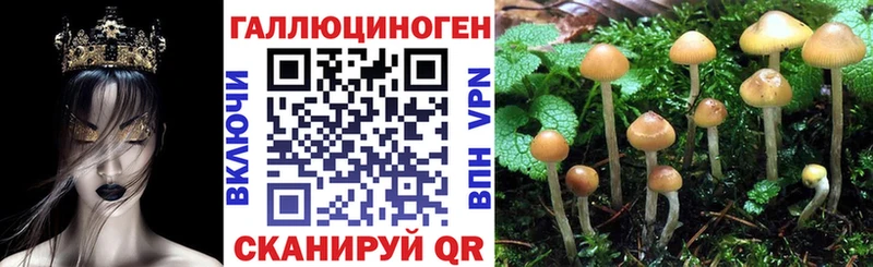 цены наркотик  Пучеж  Галлюциногенные грибы Cubensis 